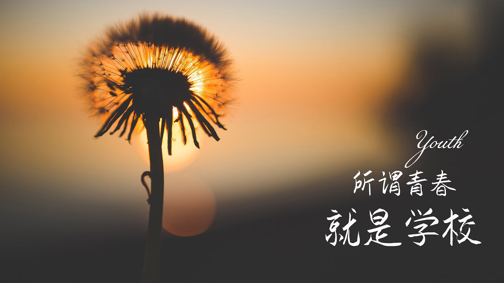 罗马2-0比闵迪奥，沙拉维和维纳托建功，罗马 维纳