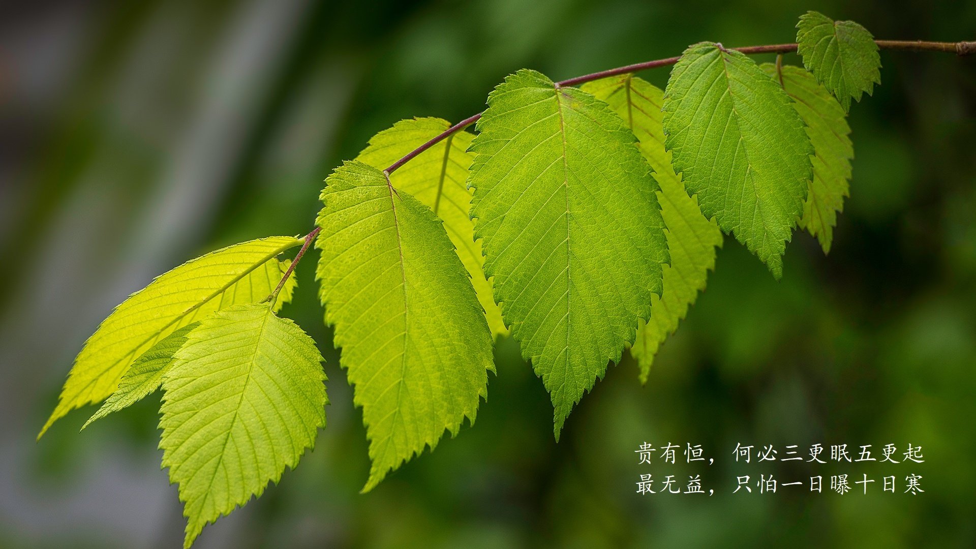 中超主力球员伤病恢复期数据研究，中超恢复主客场