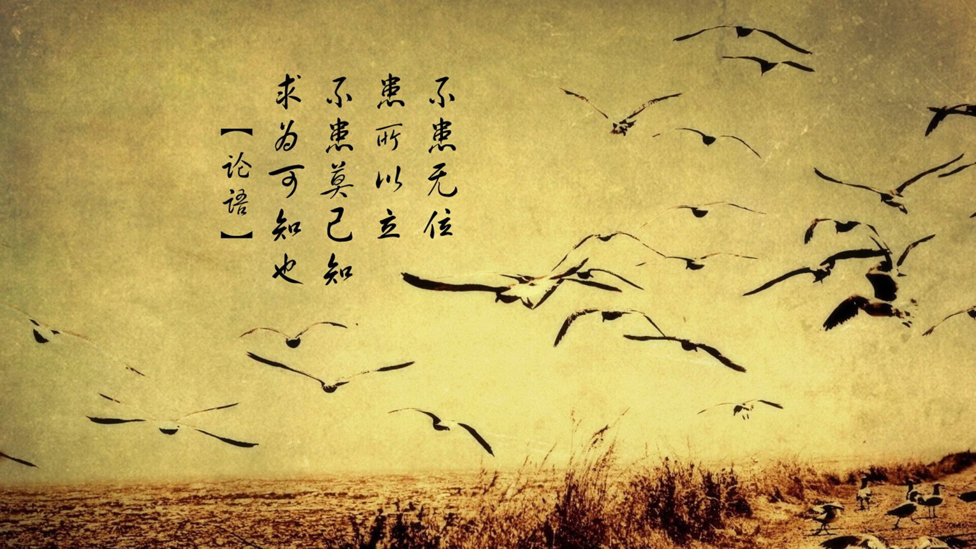 体测内容调整强化柔韧与协调能力评估，体能柔韧性训练方法