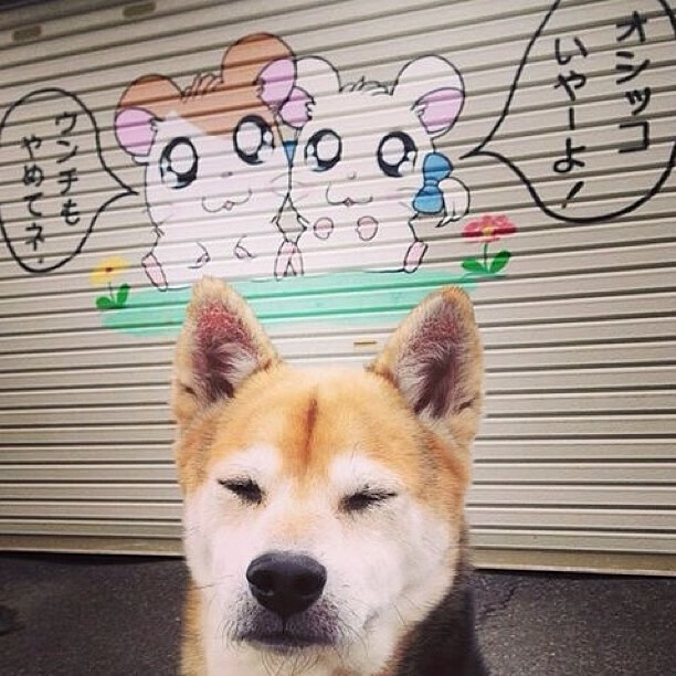 恩多比·恩乔:南非羚羊队的进攻大师再次登场,nba恩多