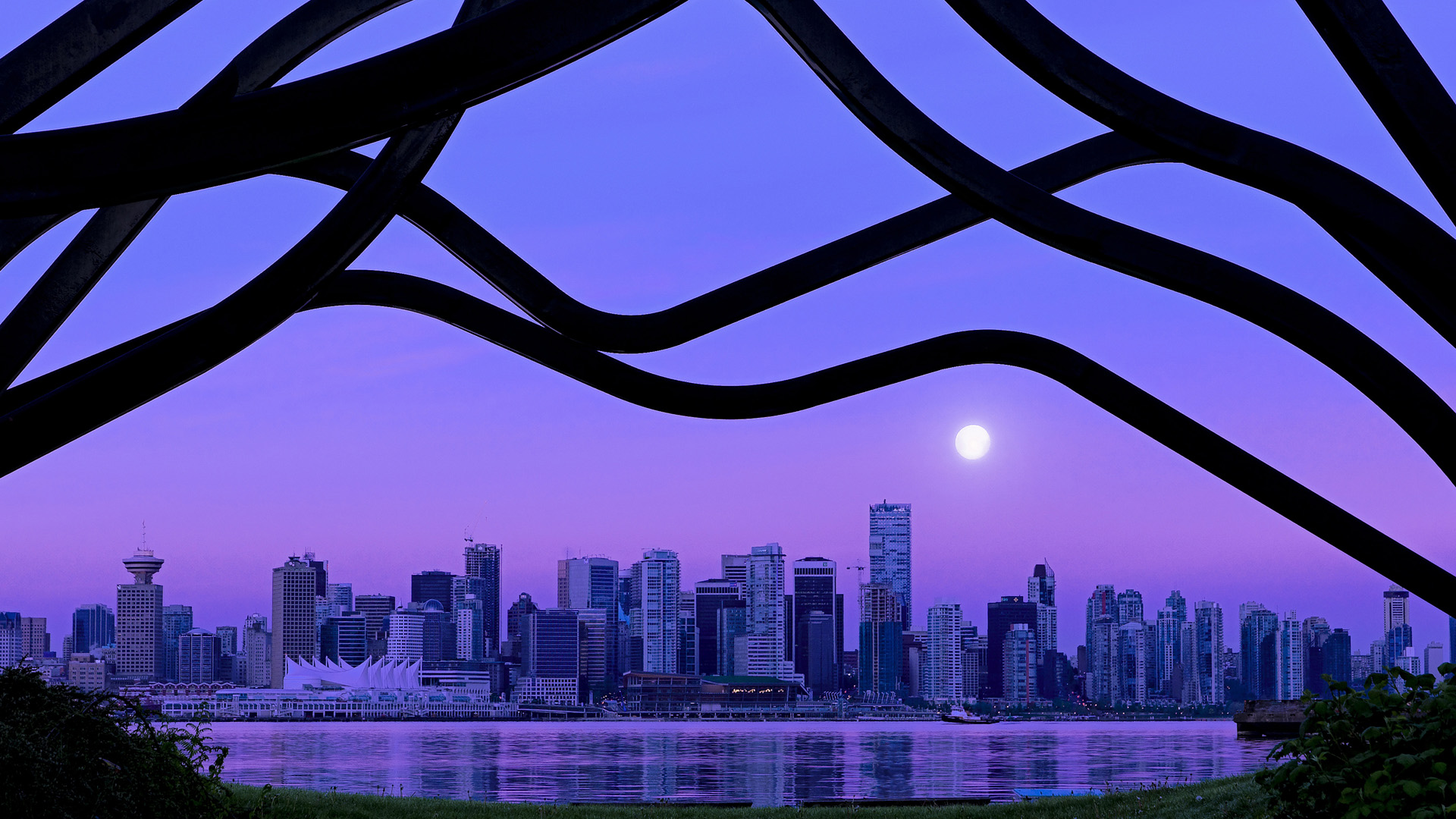 爱尔兰女子橄榄球队崭露头角,爱尔兰女子组合乐队