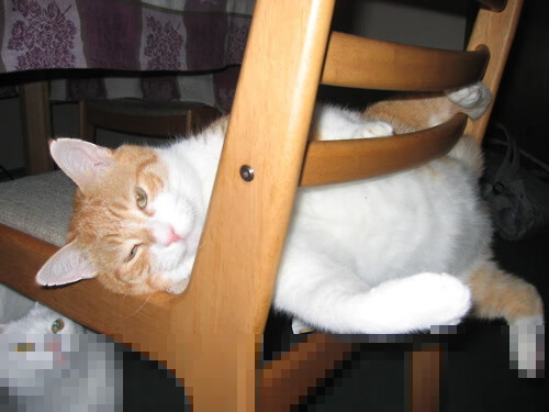 皮特·卡普尔成为袋鼠队锋线攻击的主要武器，卡尔皮纳袋鼠