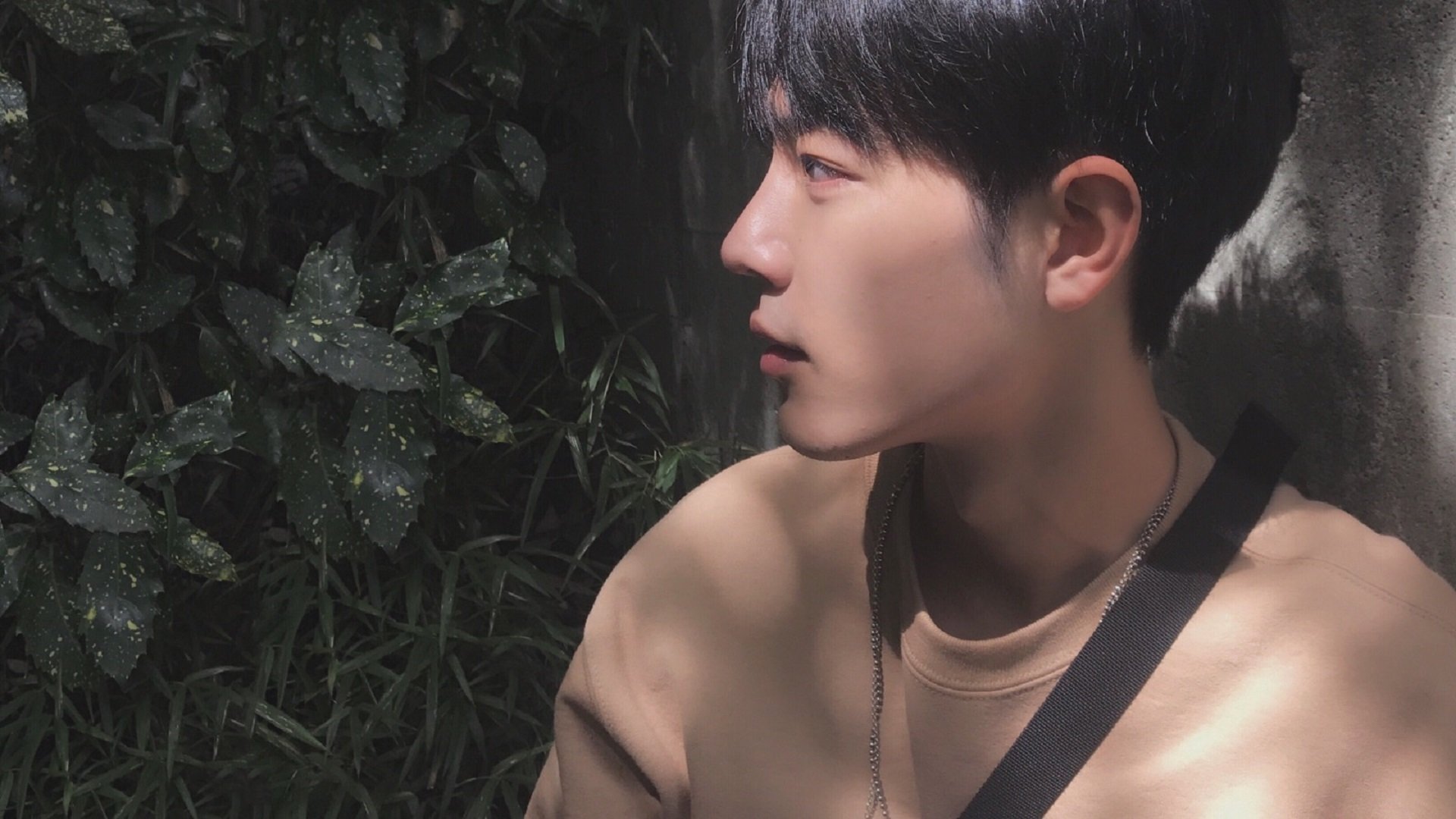 熊猫体育平台-自由泳长程韩国展现耐力节奏，自由泳长游视频